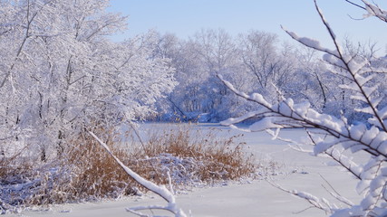winter