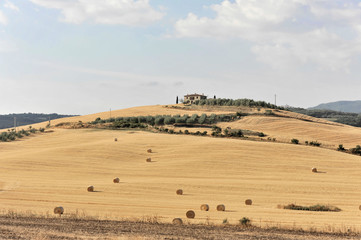 Abgeerntete Weizenfelder, Landschaft südlich von Pienza, Toskana, Italien, Europa, ÖffentlicherGrund, Europa
