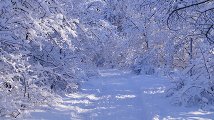 winter