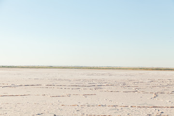 dried land after a drought landscape background