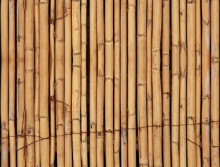 The texture of the dry reeds. Yellow reeds.