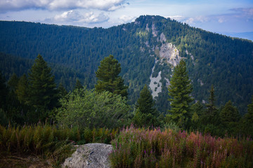 Fototapeta na wymiar Musała , najwyższy szczyt masywu Riła, Bułgaria