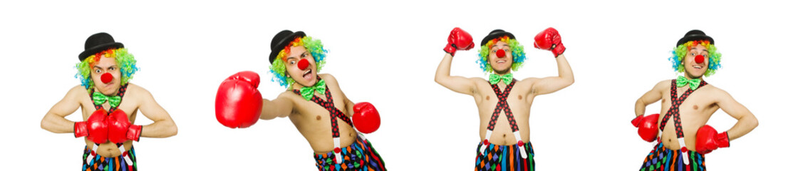 Clown with boxing gloves isolated on the white