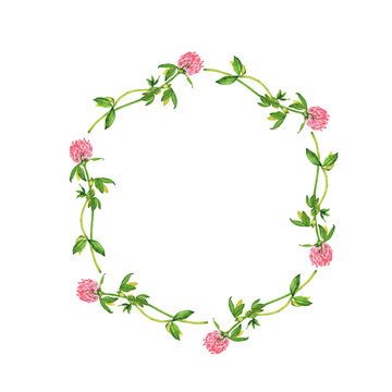 Pink clover flowers frame isolated on white background. Hand drawn watercolor illustration.