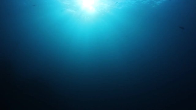 Underwater ocean background and sun   
