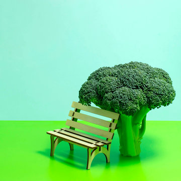 Broccoli as tree and bench