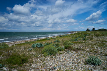 Naturstrand an der Ostsee in der Nähe des Wasservogelreservat und Nabu-Informationszentrum Wallnau...