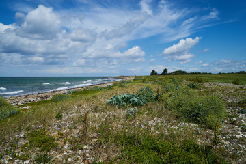 Naturstrand an der Ostsee in der Nähe des Wasservogelreservat und Nabu-Informationszentrum Wallnau auf der Insel Fehmarn, Schleswig-Holstein, Deutschland