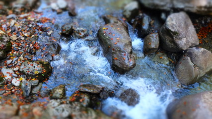 magic of water and nature