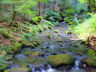 magic of water and nature