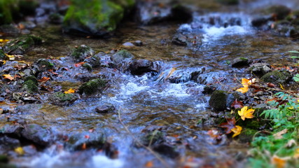 magic of water and nature