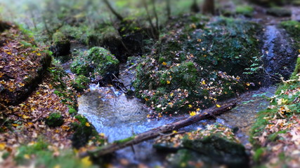 magic of water and nature