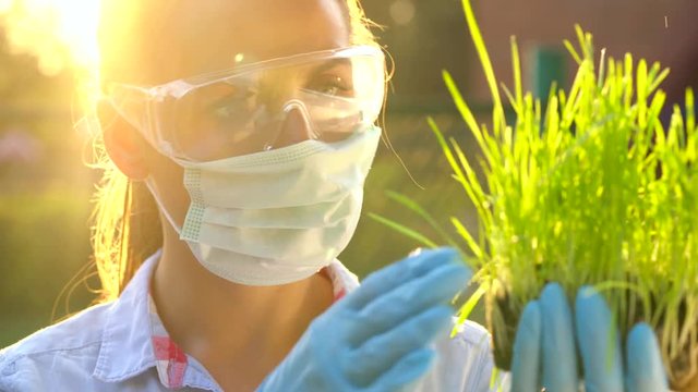 Woman scientist in goggles and a mask examines a sample of soil and plants