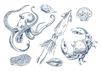 Obraz premium Isolated on White Seafood Vector Illustration