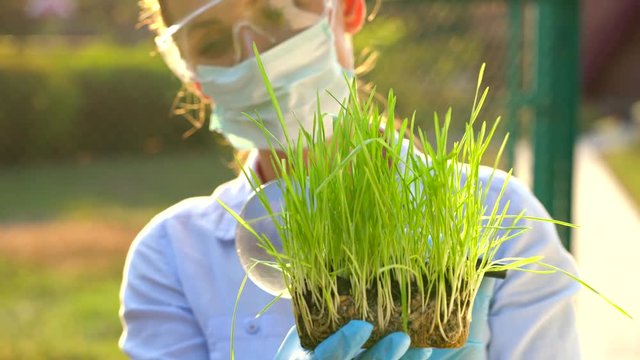 Woman scientist in goggles and a mask examines a sample of soil and plants through a magnifying glass