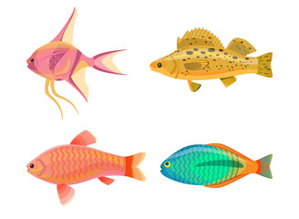 Jewel Cichlid and Fish Set Vector Illustration