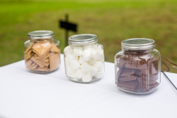 Smores at a Campfire