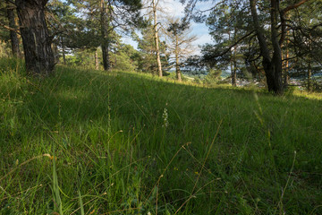 Abend über dem Naturschutzgebiet Grainberg-Kalbenstein bei Karlstadt, Landkreis Main-Spessart,...