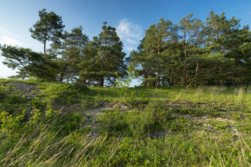 Abend über dem Naturschutzgebiet Grainberg-Kalbenstein bei Karlstadt, Landkreis Main-Spessart, Unterfranken, Bayern, Deutschland