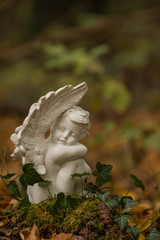 Engel, Waldfriedhof, Textfreiraum