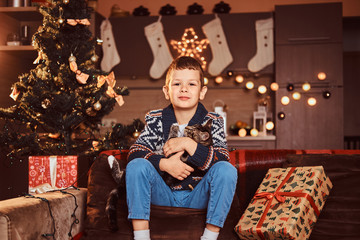 Fototapeta na wymiar Adorable boy hugging his cat in hands while sitting on sofa in decorated room at Christmas time.