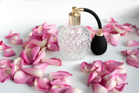 Altmodischer Vintage Parfumflakon aus Glas mit Zerst&auml;uber in schwarz und gold auf wei&szlig;em Tablett mit rosafarbenen Rosenbl&auml;ttern dekoriert