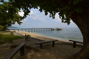 Fototapeta na wymiar Pier to Sumilon Island Cebu Philippines, in a tranquil scene under a big tree gives shadow to travelers while wating for the boat ride to the island resort
