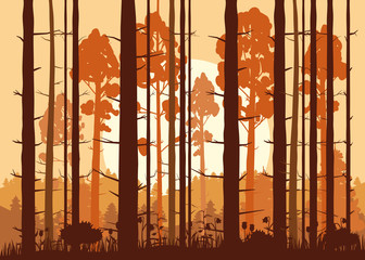 Forest, sunset, mountains, silhouettes of pine trees, firs, panorama, horizon, vector, illustration, isolated