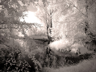 Infra red photo. Another vision. Russia, Ural, Perm Region