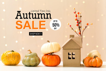 Autumn sale theme message with collection of autumn pumpkins with a toy house