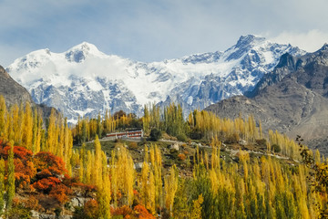 Fototapeta premium Autumn scene in Hunza valley with snow capped mountains in the background. Gilgit Baltistan, Pakistan.