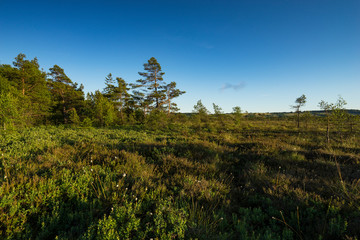 Obraz premium Das Naturschutzgebiet 