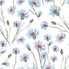 Floral seamless pattern, cornflowers print on paper or textile. Сornflowers background. Summer wildflowers background. Cloth shirt pattern.