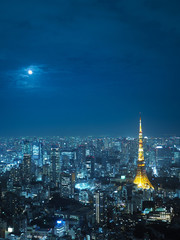  都市景観　 東京　東京タワーなど