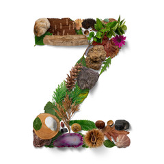 Z letter created with nature objects in flatlay arrangement