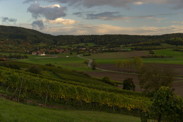 Obraz premium Weinberge im Abt-Degen-Weintal bei Oberschwappach im Steigerwald, Gemeinde Knetzgau, Landkreis Hassberge, Unterfranken, Franken, Bayern, Deutschland