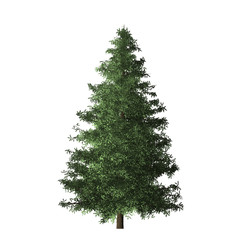 White background wallpaper Christmas tree