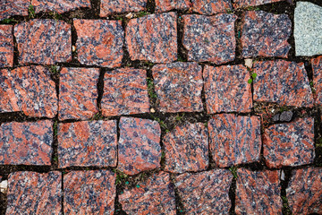 Fragment of a walkway in the park