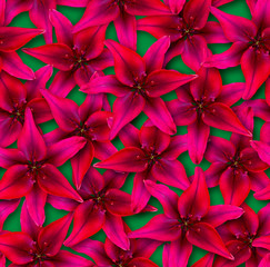 Seamless floral pattern. Chaotic arrangement of flowers. Red lily flower.