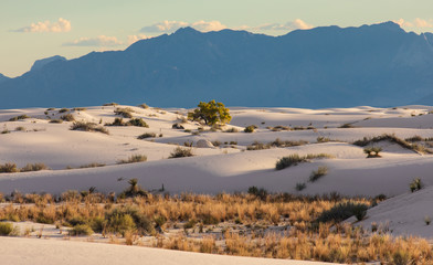White Sands National Monument fall sence with mountain background