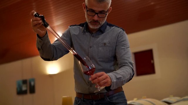 Mature winemaker tasting red wine in wine cellar