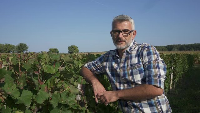 Portrait of wine maker in vineyards