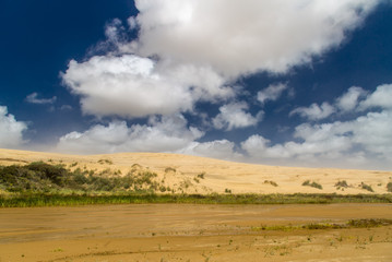 Sand dunes near Cape Reinga, New Zealand
