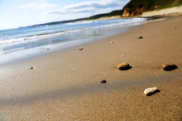 Fototapeta na wymiar 砂浜と石