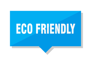 eco friendly price tag