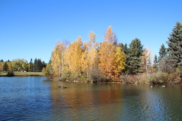 Autumn In William Hawrelak Park, Edmonton, Alberta