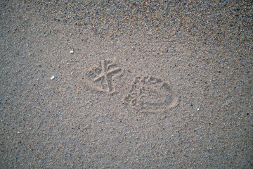 A footprint in the sand