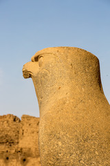 The temple of Horus in Edfu