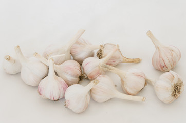 Isolated garlic. Raw garlic isolated on a background.