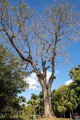 Faune et flore dans l'océan indien